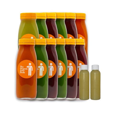 organic juice dude|organic detox juice delivery.